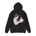 Gatto Likes