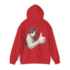 Gatto Likes